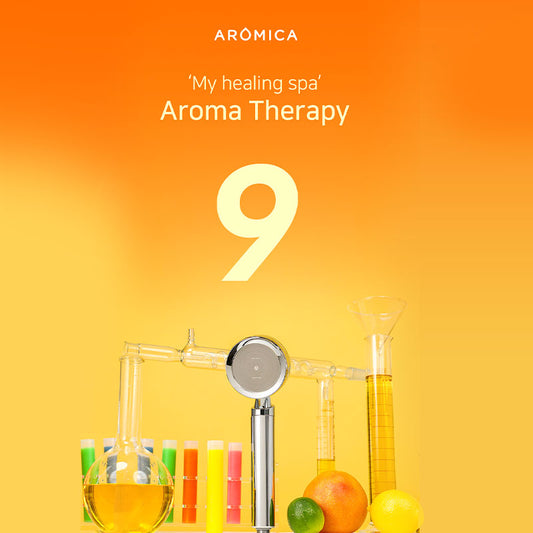 Dušo galvutė  ARO900