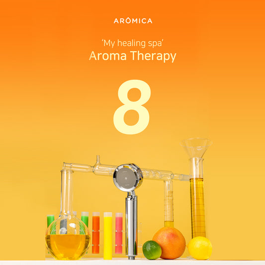 Dušo galvutė ARO800